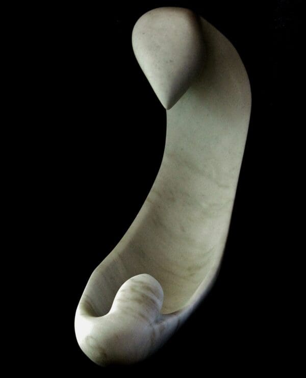 Birth of a Guin - Image 2