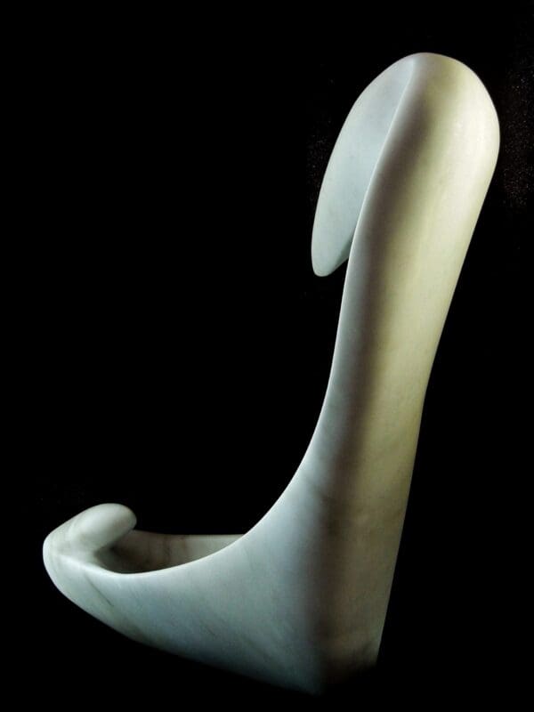 Birth of a Guin - Image 4