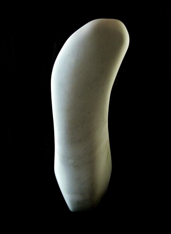 Birth of a Guin - Image 5