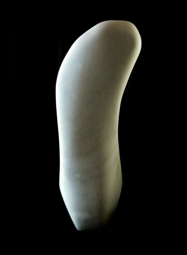 Birth of a Guin - Image 5