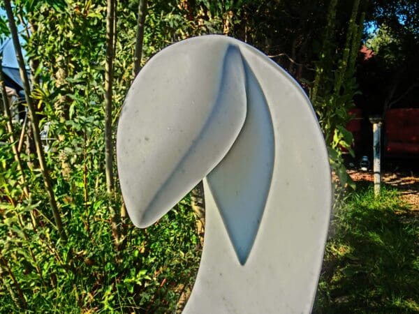 Birth of a Guin - Image 6