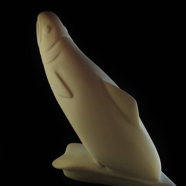 Polar Trout - Image 5