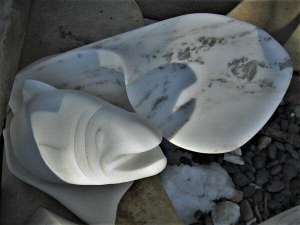 Polar Trout - Image 3