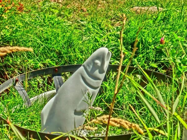 Polar Trout - Image 6