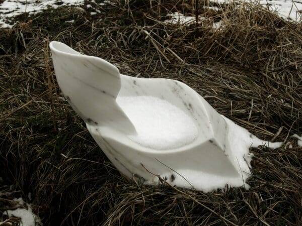 Swan Wave - Image 4