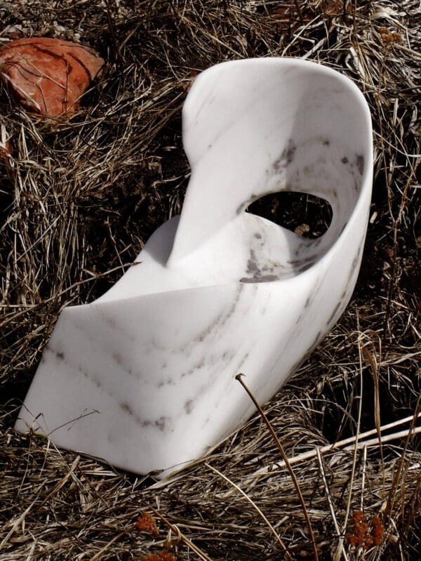 Swan Wave - Image 3