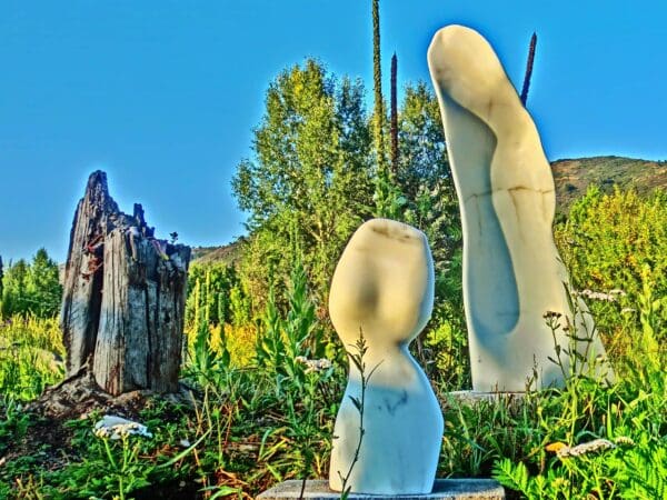 The Belle - Image 6