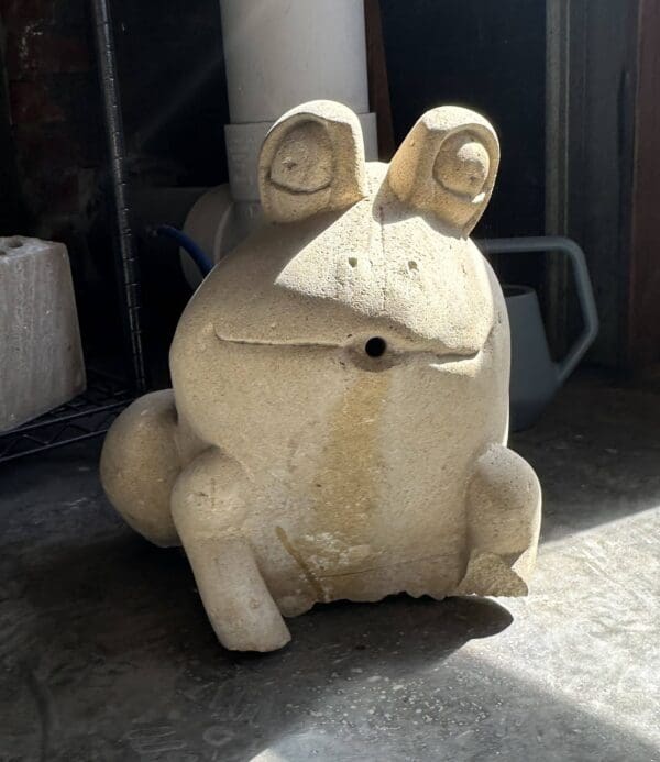 Frozen Froggy Fountain