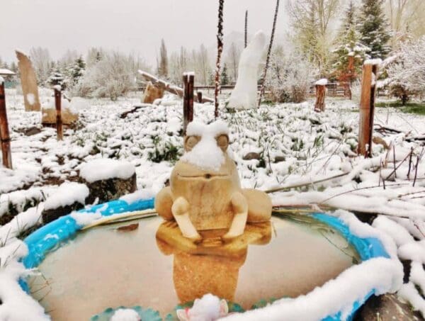 Frozen Froggy Fountain - Image 3
