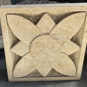 Lotus Rising