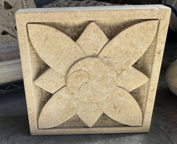 Lotus Rising
