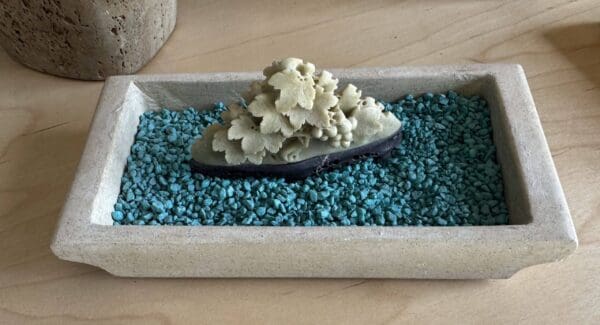 Display Tray - Image 3